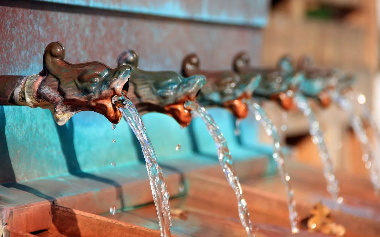 water, fountain, water fountain, drinking fountain, nature, gargoyle, bad salzuflen, germany