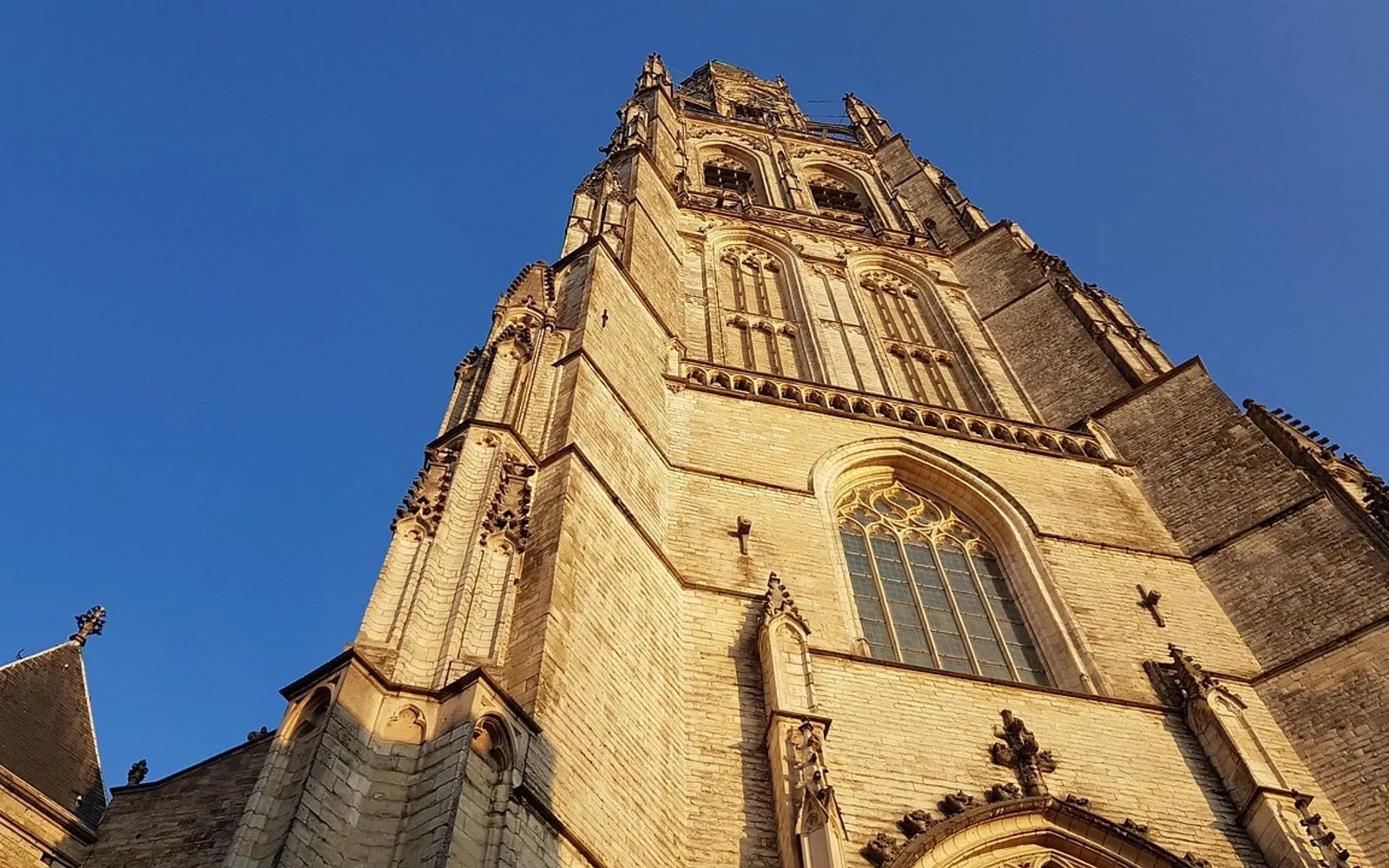 breda, church, nature, sky, netherlands