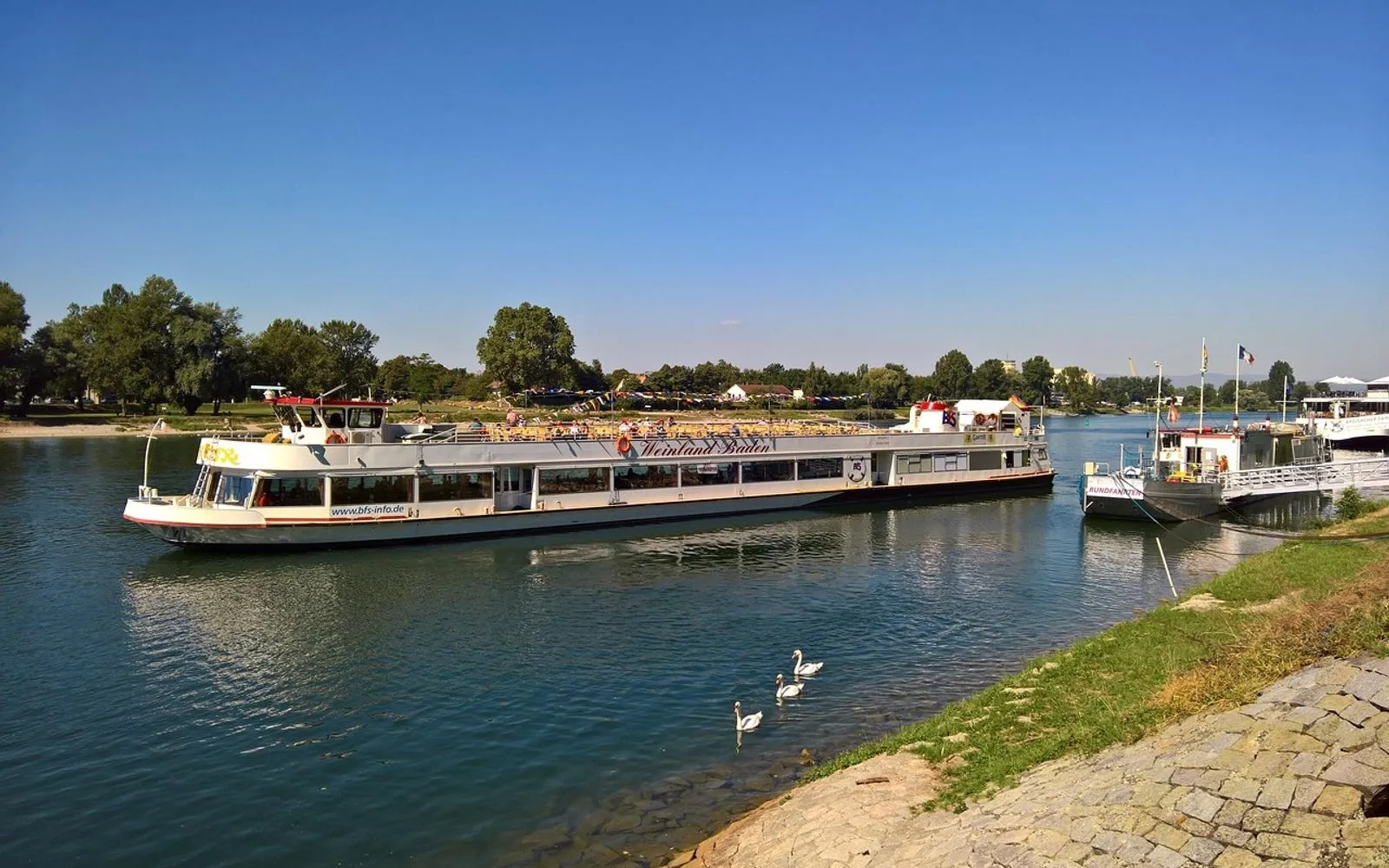 rhine, breisach, ship, water, nature, to bathe, flow, swans, germany, france