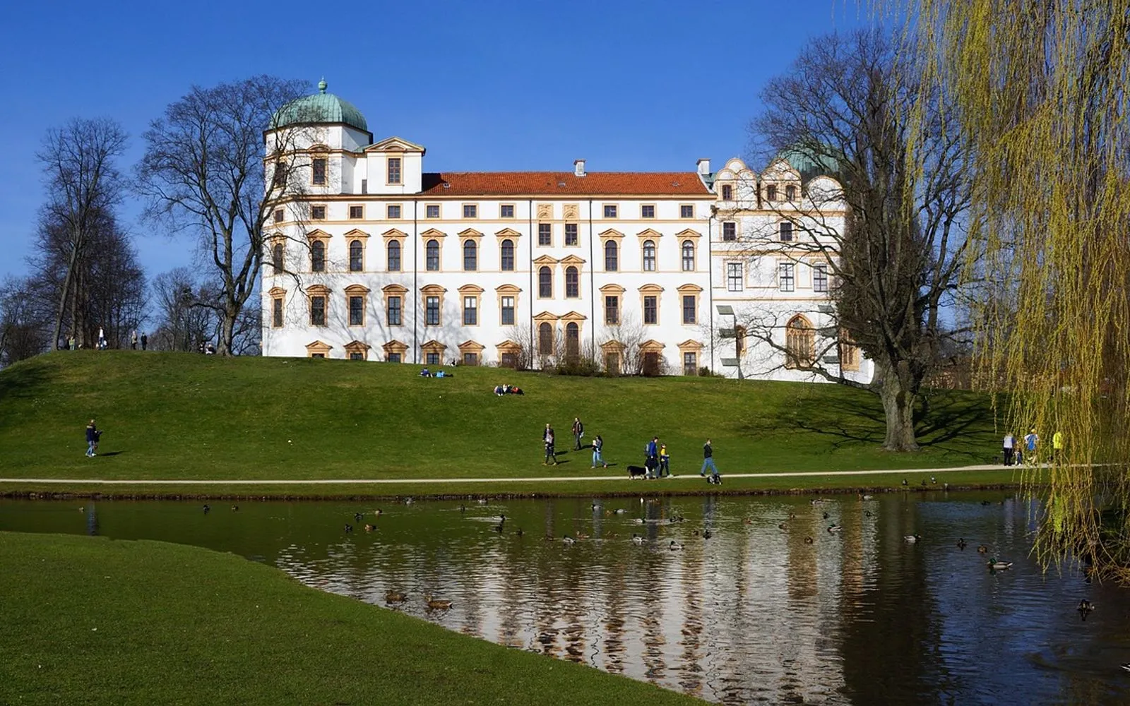 germany, nature, castle of celle, spring, pond