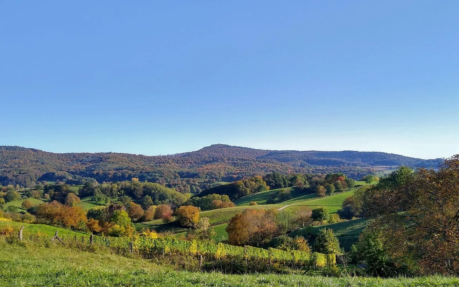 germany, hesse, hessen, odenwald, nature, darmstadt, sky, mountains, hessen, hessen, hessen, hessen, hessen, odenwald, odenwald, odenwald, odenwald, darmstadt, darmstadt