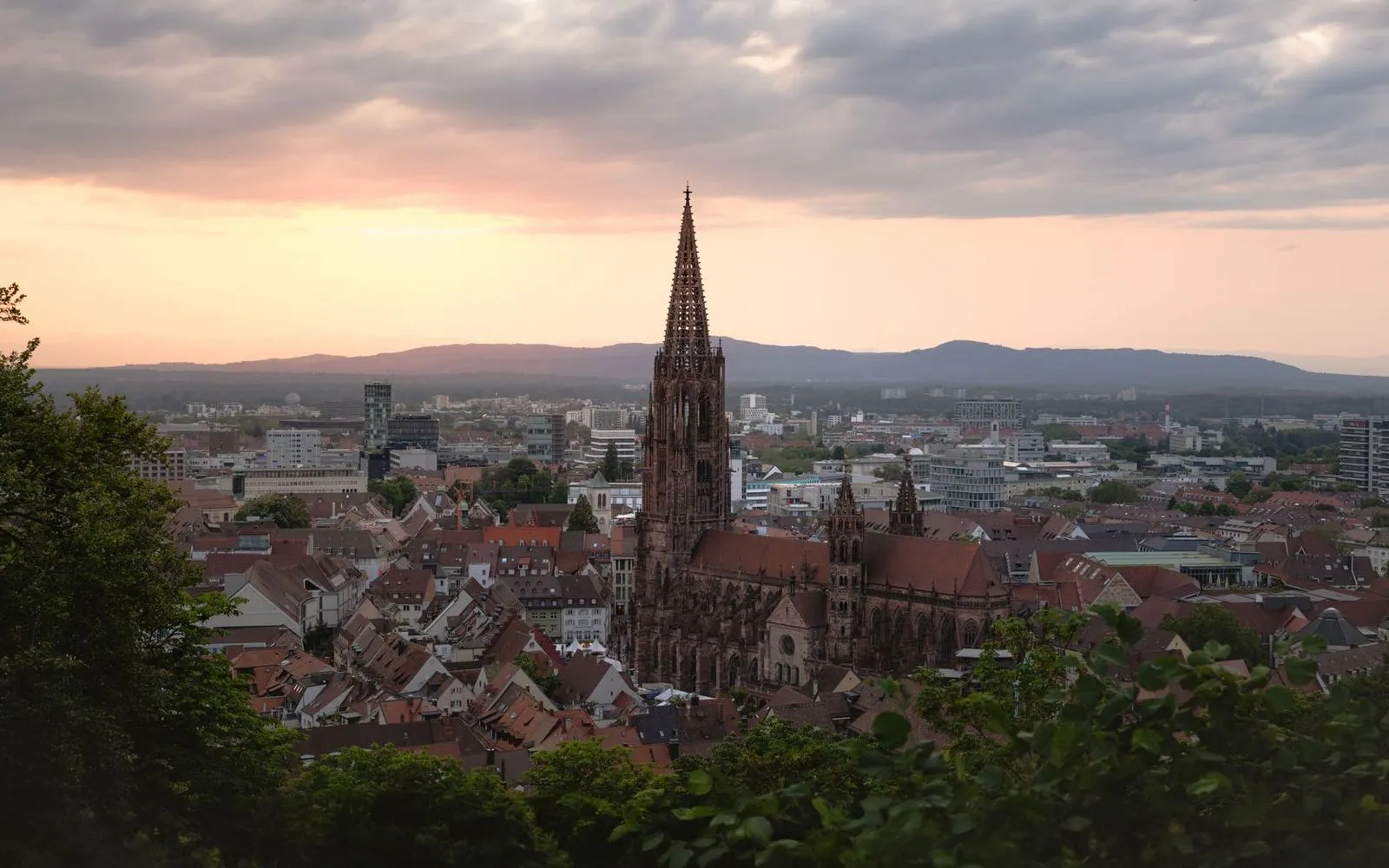 Freiburg im Breisgau