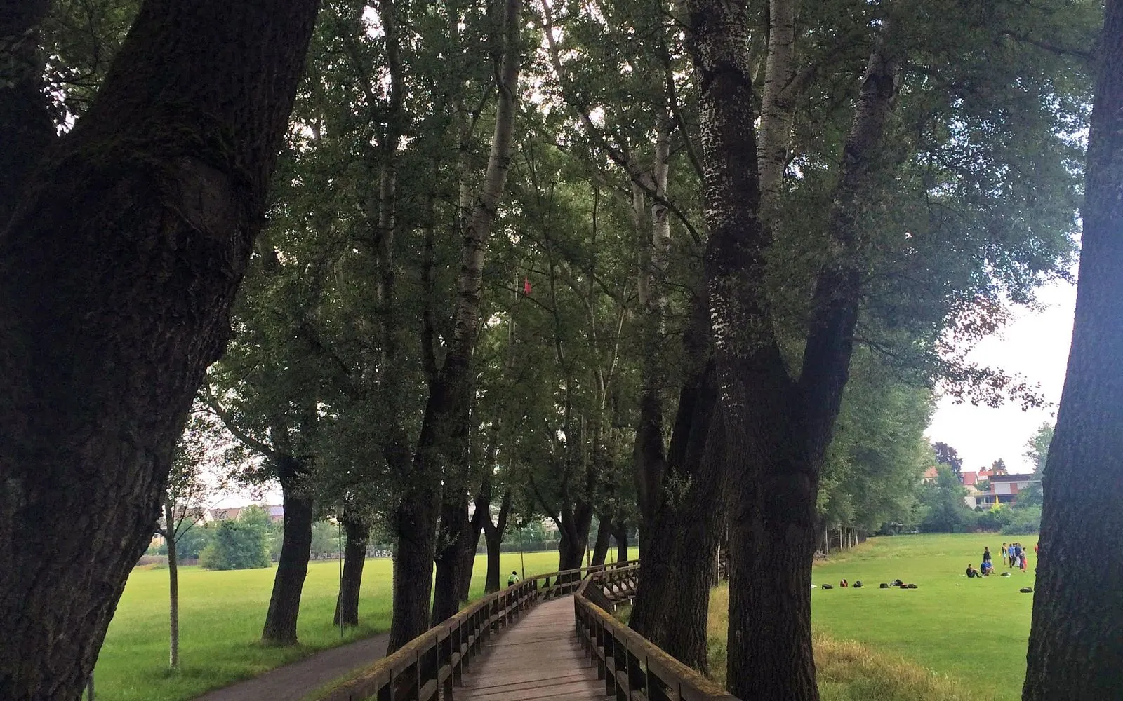 Fürth, Germany - panoramio - Sergei Gussev (1)