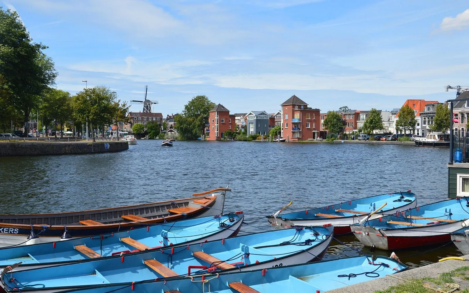 haarlem, water, nature, holland, lake, city, netherlands, dutch