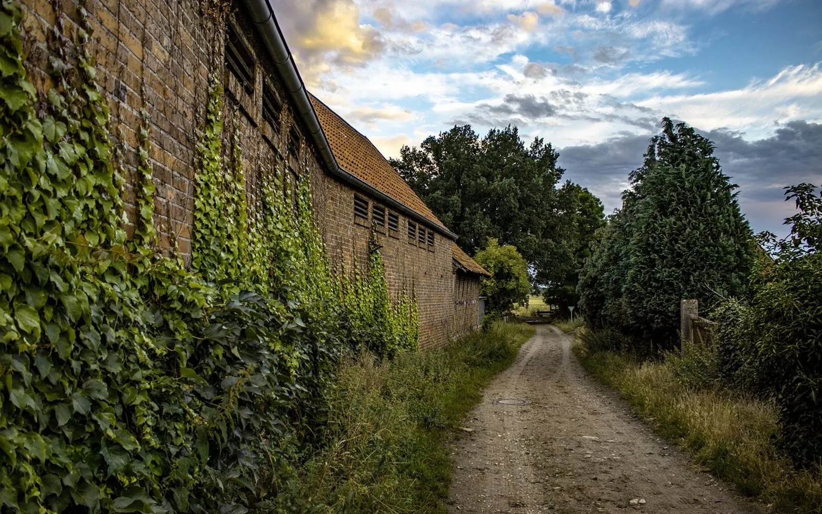trail, building, wall, trees, leaves, foliage, nature, village, historically, germany, lower saxony, region hannover