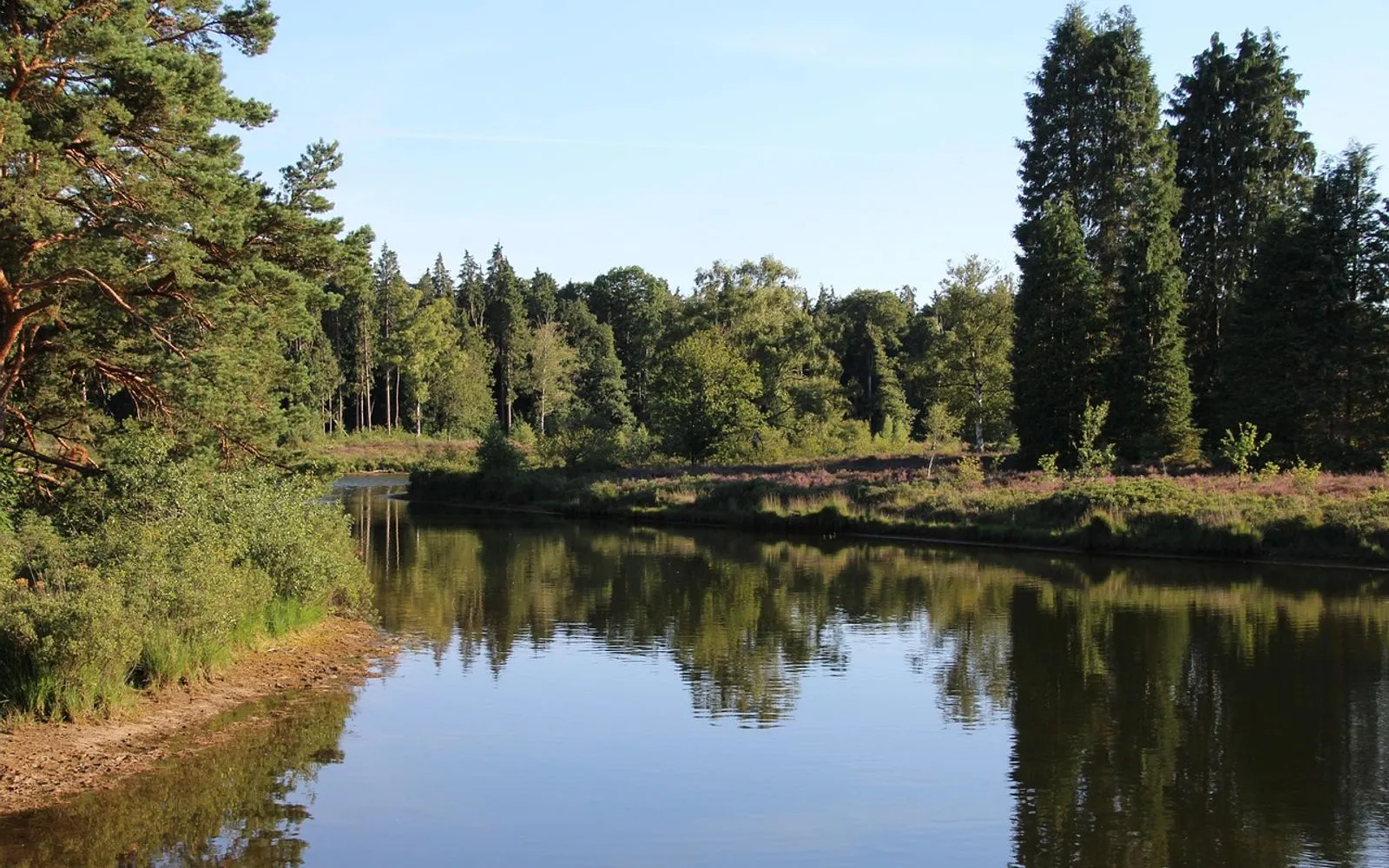 hair pee, hardenberg, nature, water, lake, overijssel, landscape