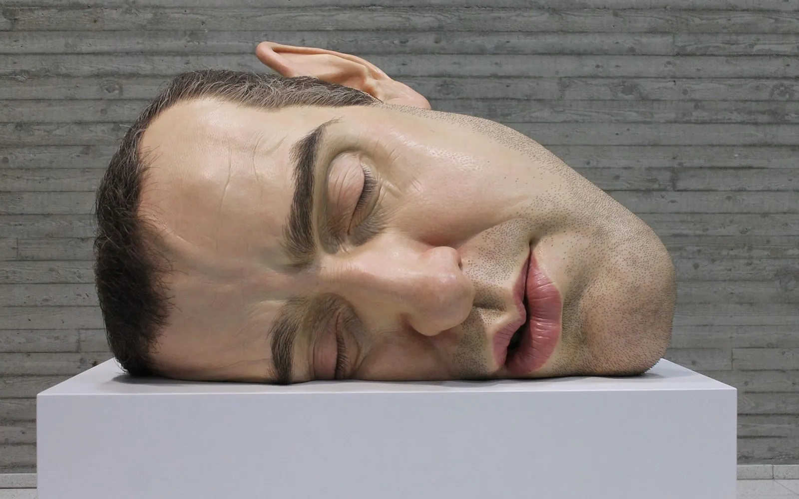art, ron mueck, finland, tampere, museum, abstract, artistic, face, mask, detail, pop art, sarah hilden, man, sleep, finland, pop art, pop art, pop art, pop art, pop art