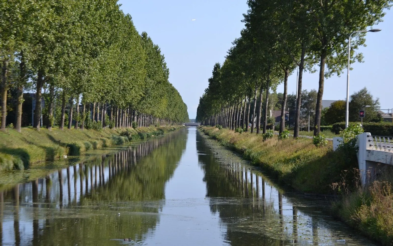 hoofdvaart, canal, trees, hoofddorp, netherlands, park, water, nature, reflection, schiphol, town, channel, waterway
