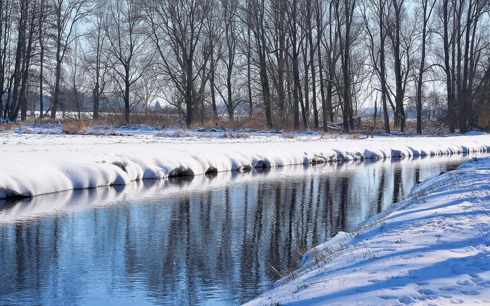 river, bank, winter, snow, trees, reflection, water, cold, wintry, snowy, frost, woods, nature, scenery, scenic, fleuth, kevelaer, germany