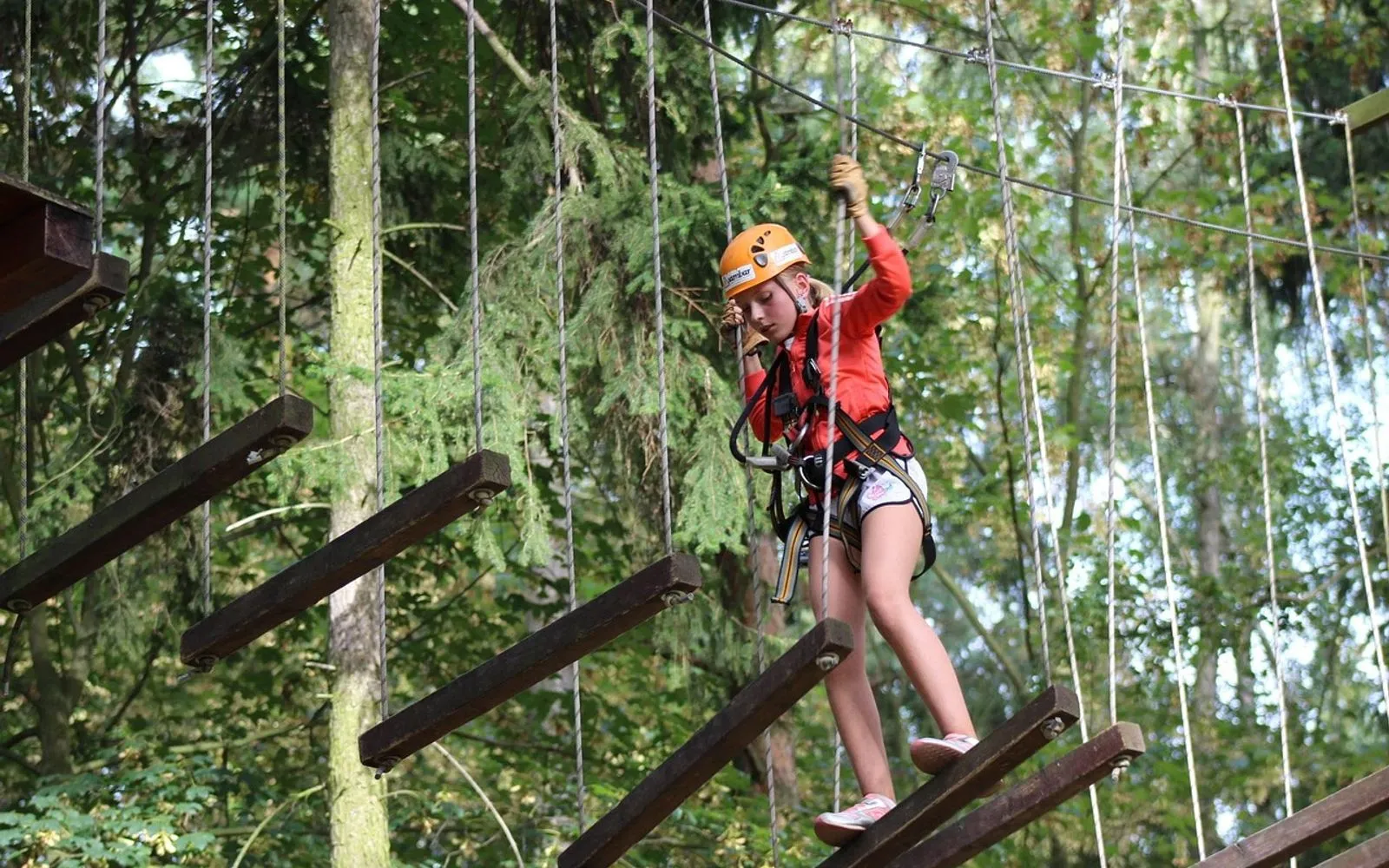 rope park, kladno, movement, rope park, rope park, rope park, rope park, rope park