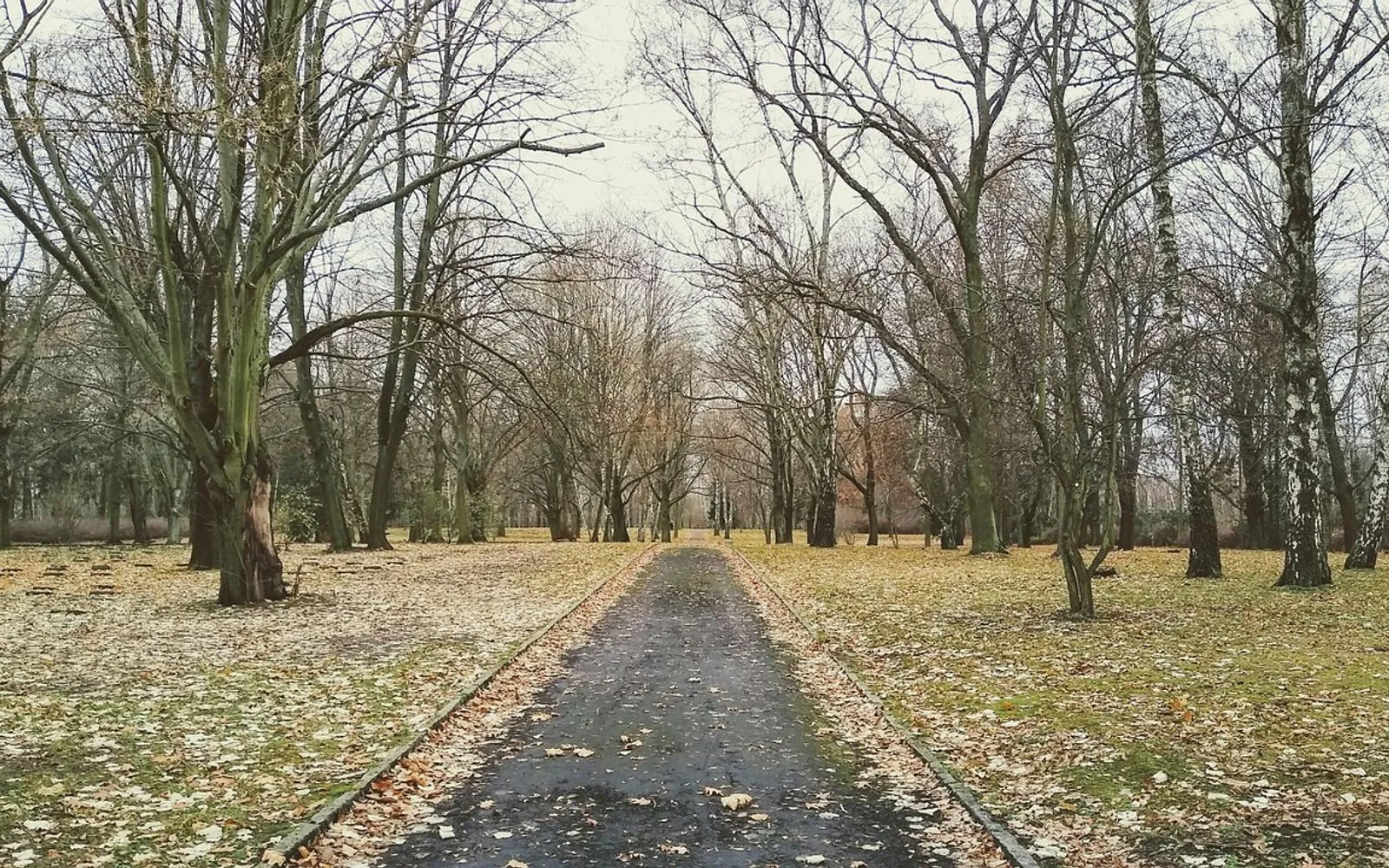 germany, berlin, graveyard, marzahn, winter
