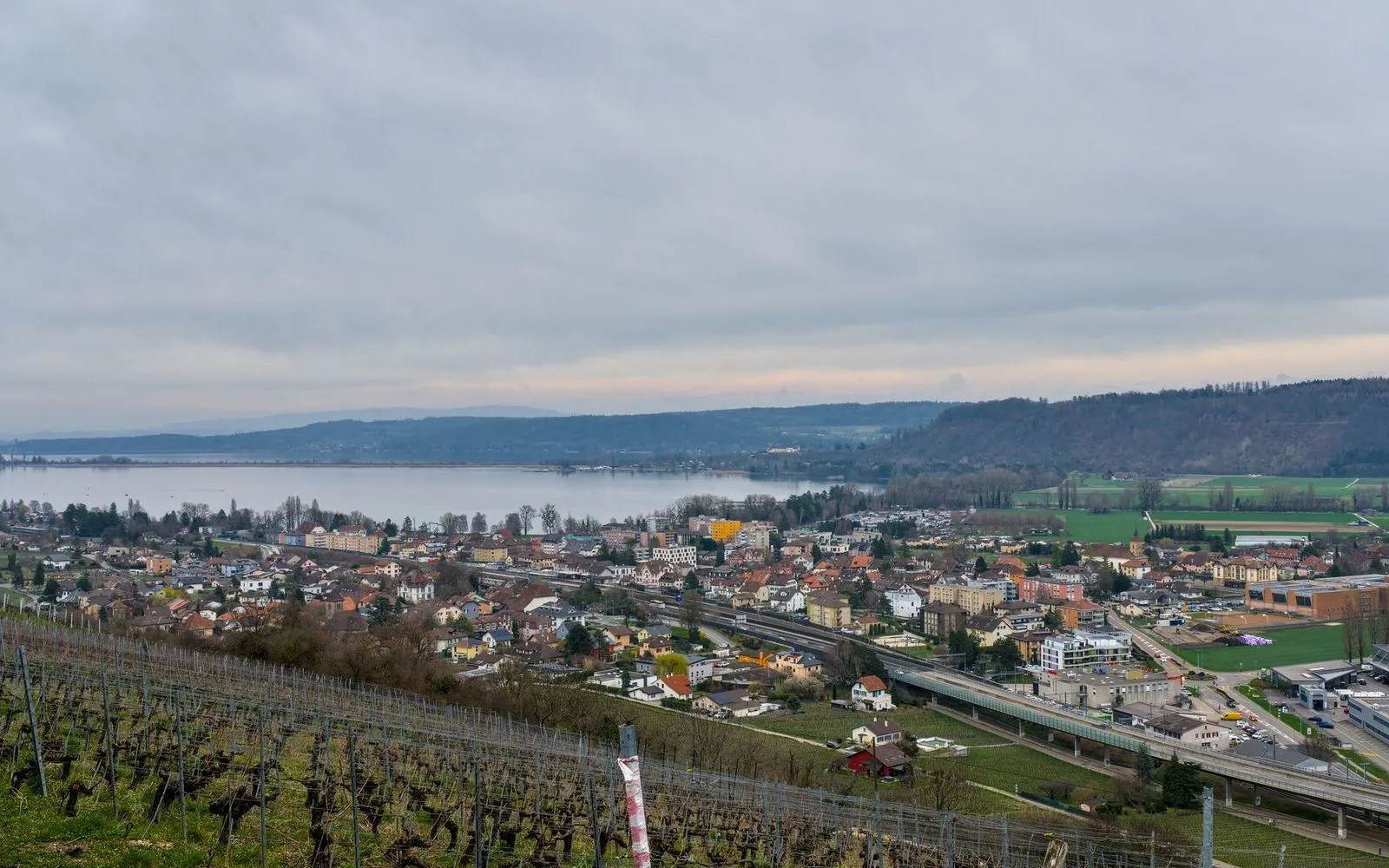 Nidau