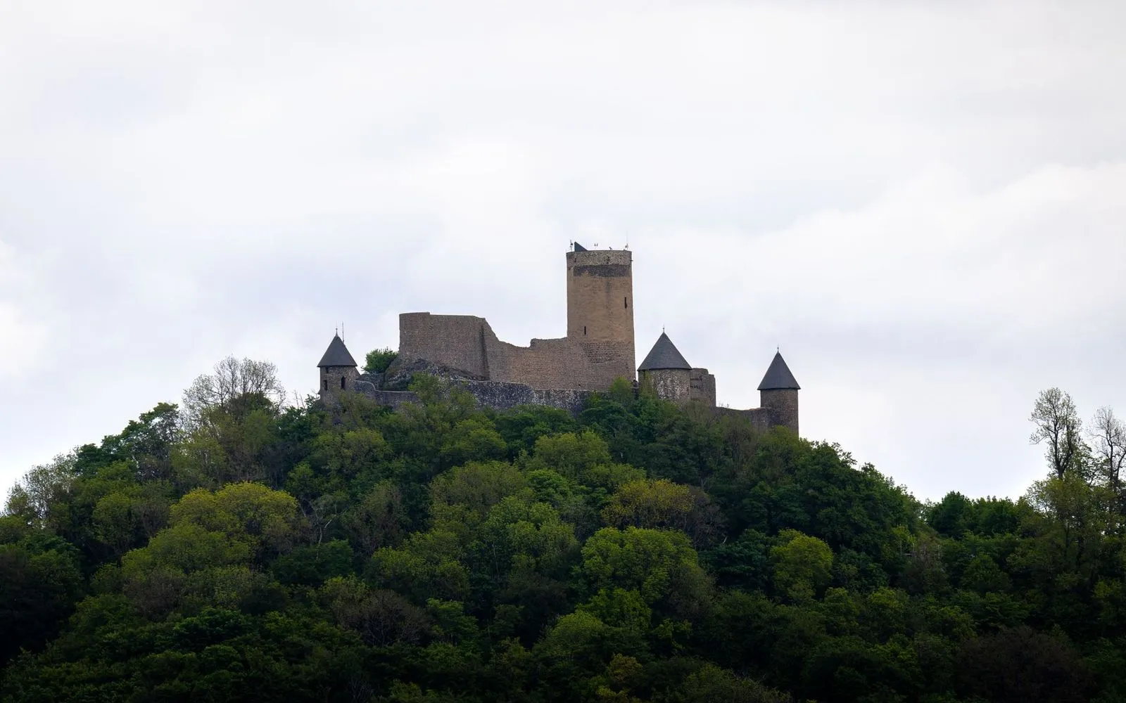 Historic castle atop lush forest in Nürburg, showcasing medieval architecture and scenic natural beauty.