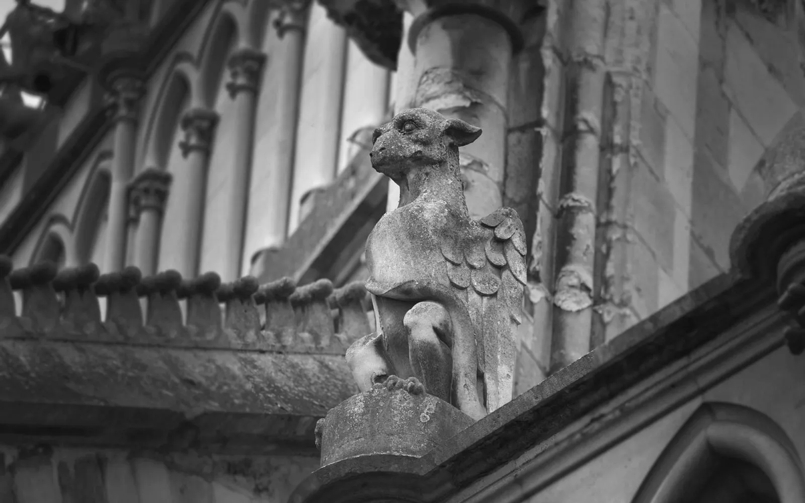 Reims