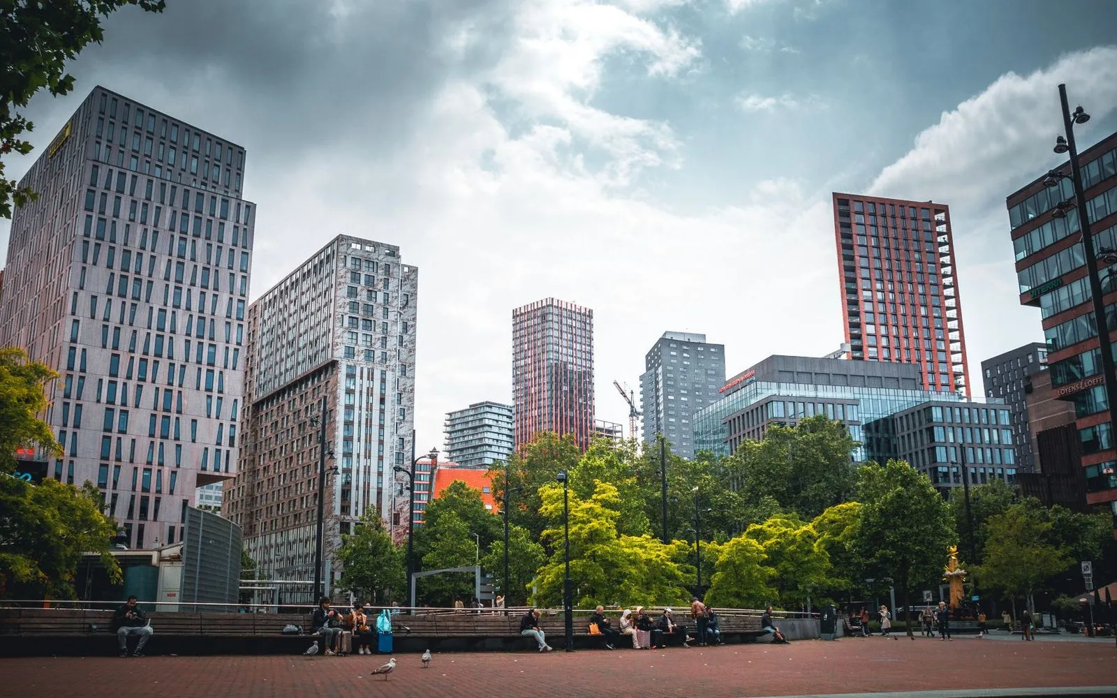 Vibrant cityscape with modern skyscrapers and lush trees in Rotterdam, Netherlands.