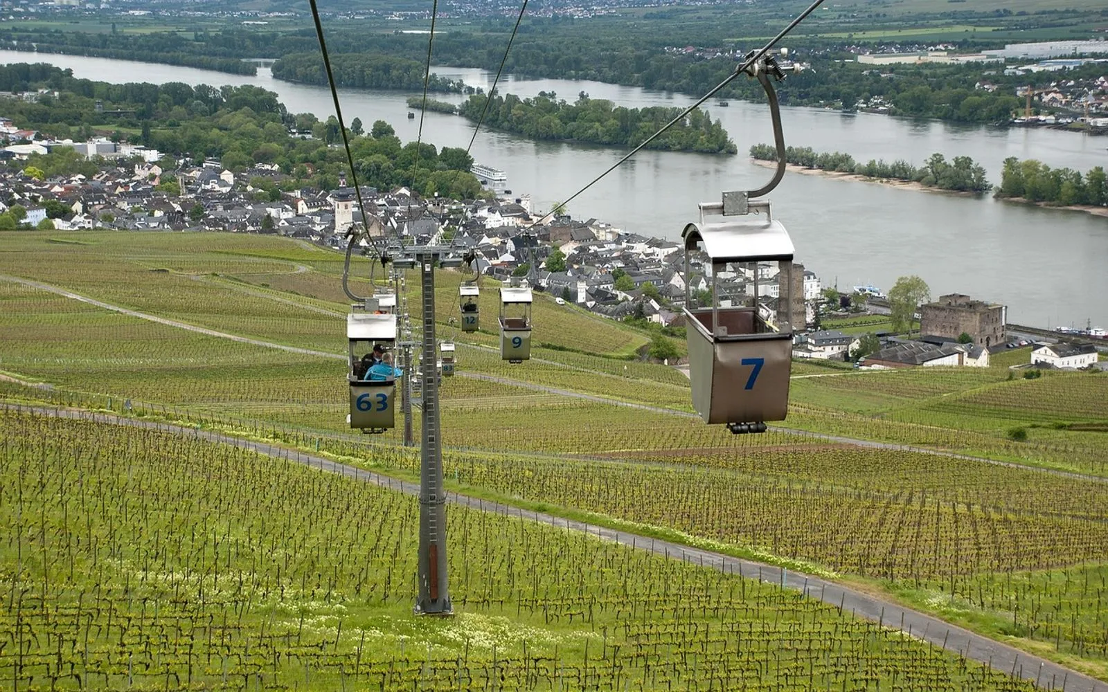 rüdesheim am rhein, germany, elevator, vista, height, fear of heights, cable lift, commercial, transport, tourists, panorama, landscape, tourism, nature, watercourse, shipping, elevator, elevator, elevator, elevator, elevator