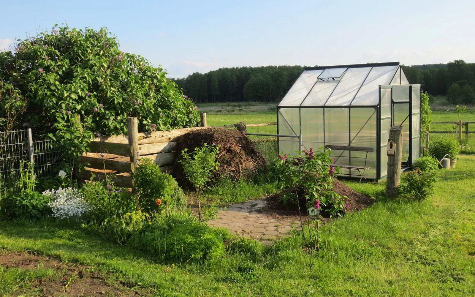 greenhouse, allotment garden, garden shed, garden, schwerin, nature, germany, greenhouse, greenhouse, greenhouse, greenhouse, greenhouse, allotment garden, allotment garden, allotment garden, garden shed