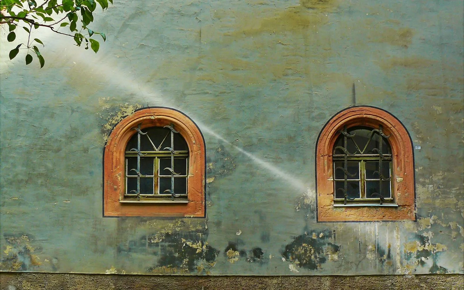 window, housewall, house facade, house front, facade, architecture, weathered, building, house, historic center, weimar, lattice windows, historical, old, grunge, to dye, color flaking, peel off, masonry, lichtspiel, incidence of light, beam of light, germany, window, window, window, window, window, house, house, house